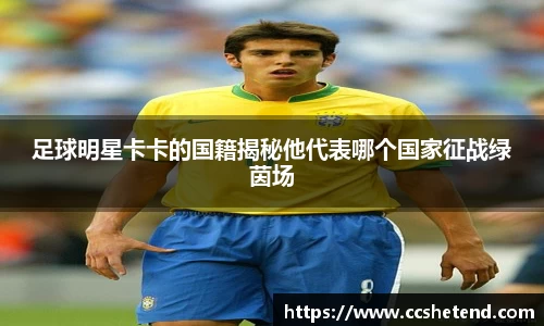 金年会金字招牌