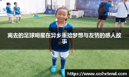 离去的足球明星在异乡重拾梦想与友情的感人故事